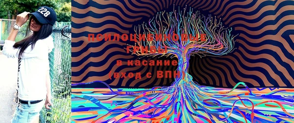 метамфетамин Алексеевка