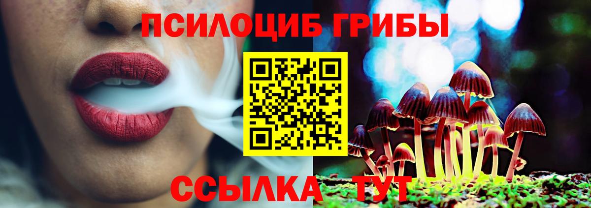 Галлюциногенные грибы Psilocybe Джанкой